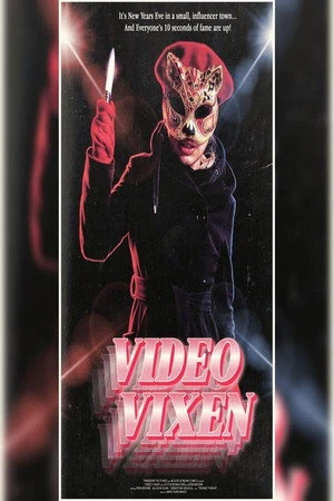 Video Vixen (2026) Hindi (MULTI AUDIO) – –